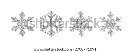 vector icon illustration. Set of glitter  sparkly silver snowflakes on white background.