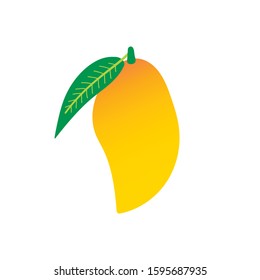Vector icon, illustration of thai yellow mango fruit with leaf.