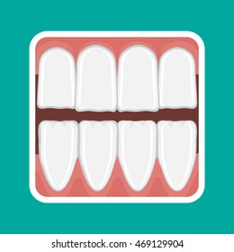 Vector icon incisor teeth and gums of the lower and upper jaw.