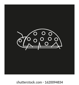 vector icon, with insect ladybug shape