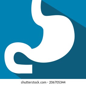 Vector icon isolated - Human organ. Stomach.