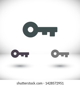 Vector icon key 10 EPS . Lorem Ipsum Illustration design