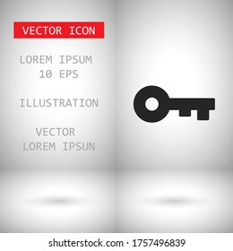Vector icon key 10 EPS . Lorem Ipsum Illustration design