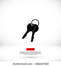 Vector icon key, design illustration for web key. Flat style key.