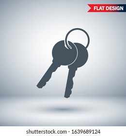 Vector icon key, design illustration for web key. Flat style key.