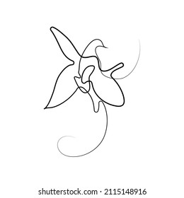 vector icon of khari bulbul flower, single line art, outline  ophrys caucasica 