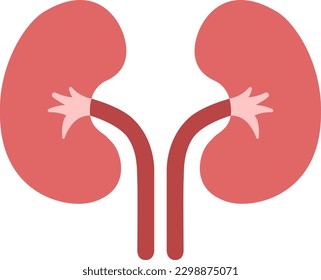 The vector icon of kidney