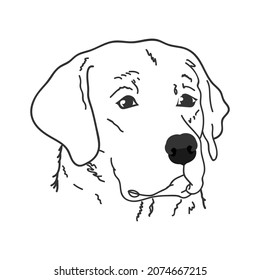 Vector Icon Labrador Head Drawn By Stock Vector (Royalty Free ...