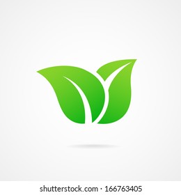 vector icon leaf