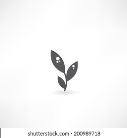 vector icon leaf