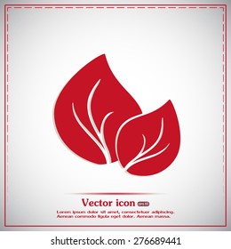 Vector icon leaf 
