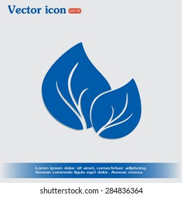 Vector icon leaf 