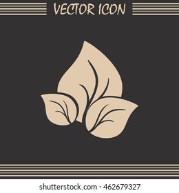 Vector icon leaf 