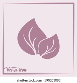 Vector icon leaf 