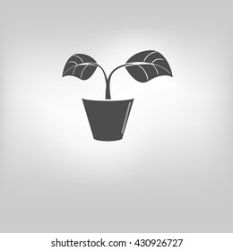 vector icon leaf symbol