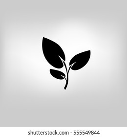 vector icon leaf symbol