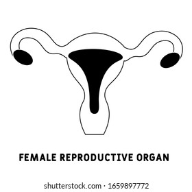  Icono del vector. Diseño de línea. Órgano reproductivo femenino, útero, ovarios. Estructura anatómica del hombre. Enfermedad y tratamiento. Símbolo, elemento, signo, logotipo, emblema. Ilustración conceptual.