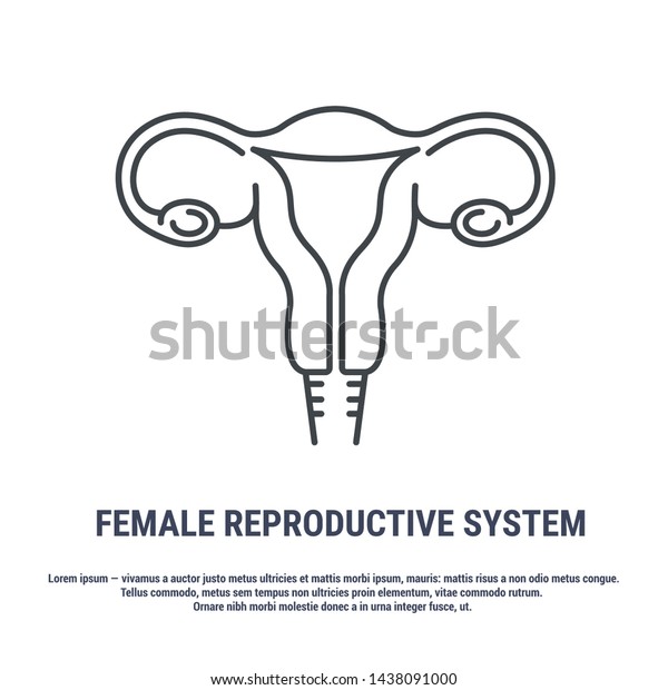 Vector\
icon. Line design. Female reproductive organ, uterus, ovaries.\
Anatomical structure of man. Disease and treatment. Symbol,\
element, sign, logo, emblem. Concept\
illustration.