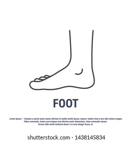Vector icon. Line design. Human foot. Anatomical structure. Symbol, element, sign, logo, emblem. Concept illustration.