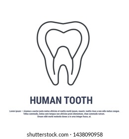 Vector icon. Line design. Tooth and dental nerve. Medicine and anatomy. Anatomical structure of man. Symbol, element, sign, logo, emblem. Concept illustration.