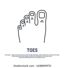 Vector icon. Line design.Toes and foot. Anatomical structure of man. Disease and treatment. Symbol, element, sign, logo, emblem. Concept illustration.