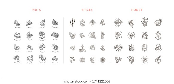 Vector icon and logo collection hot drinks, spices, nuts and honey . Editable outline stroke size. Line flat contour, thin and linear design. Simple icons. Sign, symbol, element.