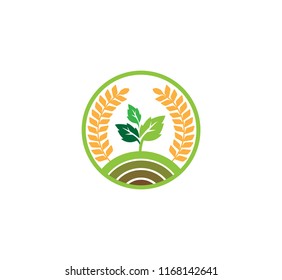 vector or icon logo concept design template for agriculture technology, agriculture business, education, field soil land process, crop farm