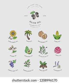 Vector icon and logo for natural cosmetics oil care dry skin