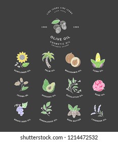 Vector icon and logo for natural cosmetics oil care dry skin