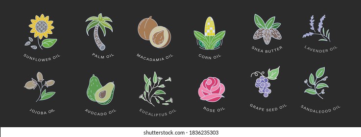 Vector icon and logo for natural cosmetics oil care dry skin