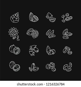 Vector icon and logo for nuts and seeds. Editable outline stroke