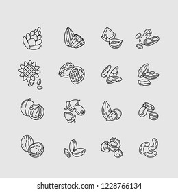 Vector icon and logo for nuts and seeds. Editable outline stroke size. Line flat contour, thin and linear design. Simple icons. Concept illustration. Sign, symbol, element.