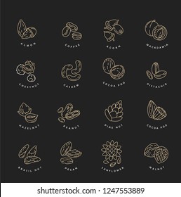 Vector icon and logo for nuts and seeds. Editable outline stroke size. Line flat contour, thin and linear design. Simple icons. Concept illustration. Sign, symbol, element.