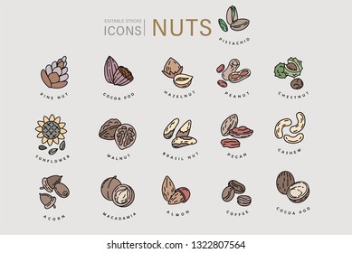 Vector icon and logo for nuts and seeds. Editable outline stroke size. Line flat contour, thin and linear design. Simple icons. Concept illustration. Sign, symbol, element.