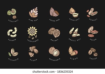 Vector icon and logo for nuts and seeds. Editable outline stroke size. Line flat contour, thin and linear design. Simple icons. Concept illustration. Sign, symbol, element.
