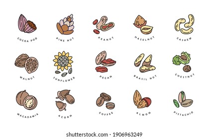 Vector icon and logo for nuts and seeds. Editable outline stroke size. Line flat contour, thin and linear design. Simple icons. Concept illustration. Sign, symbol, element.