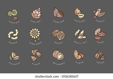 Vector icon and logo for nuts and seeds. Editable outline stroke size. Line flat contour, thin and linear design. Simple icons. Concept illustration. Sign, symbol.