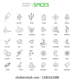 Vector Icon And Logo For Spices And Herbs