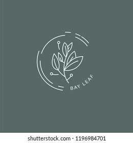 Vector Icon And Logo For Spices And Herbs