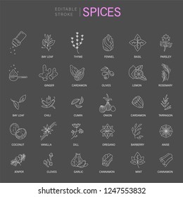 Vector icon and logo for spices and herbs. Editable outline stroke size. Line flat contour, thin and linear design. Simple icons. Concept illustration. Sign, symbol, element.