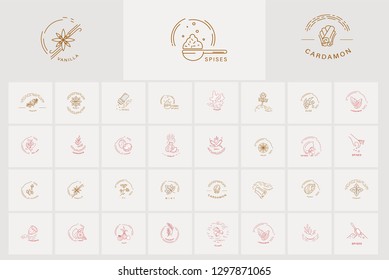 Vector icon and logo for spices and herbs. Editable outline stroke size. Line flat contour, thin and linear design. Simple icons. Concept illustration. Sign, symbol, element.