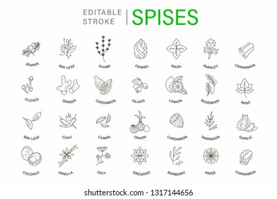 Vector icon and logo for spices and herbs. Editable outline stroke size. Line flat contour, thin and linear design. Simple icons. Concept illustration. Sign, symbol, element.
