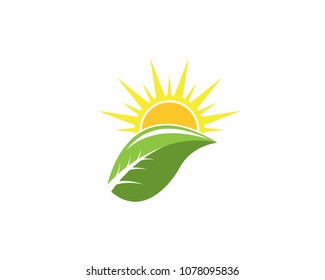 Vector Icon Logo Template Sun 
