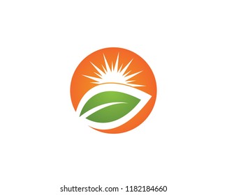 Vector Icon Logo Template Sun over horizon