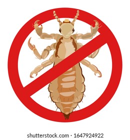Vector icon of louse and black silhouette on white background. Insect parasite.