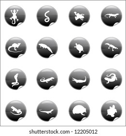 Vector Icon of Marine animals - 6