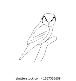 Vector icon in minimal linear style - owl