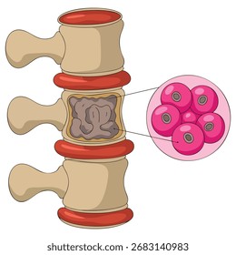 Vector icon of multiple myeloma awareness month isolated ribbon design cancer survivor symbol health concept illustration perfect for medical visuals