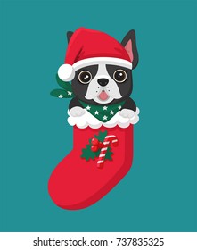 vector icon New Year  dog breed French Bulldog. The puppy sits in a Christmas sock.