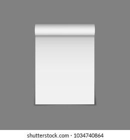 Vector icon of paper scroll